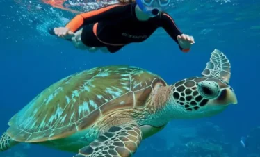 Bali Scuba Diving Package