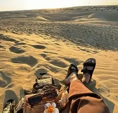 Desert Trails