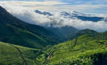 2 Nights 3 Days Munnar Tour Packages
