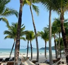 Best of Vietnam in 7 Days