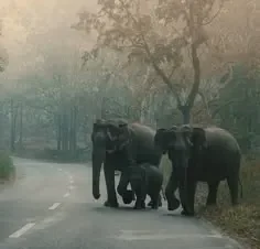 Kerala Wayanad Weekend Holiday
