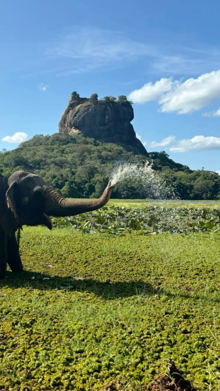 8ac98ca2decfb1f4628986932b63e133