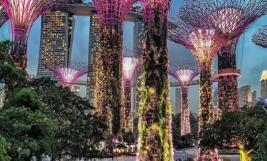 Premium Singapore Package