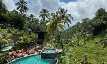 Bali For Bachelors
