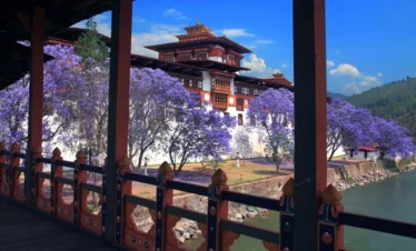 Thimphu 4N/5D with Paro & Punakha Day Trips